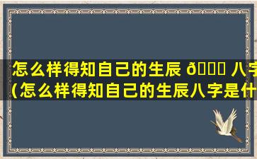 怎么样得知自己的生辰 🐅 八字（怎么样得知自己的生辰八字是什么）